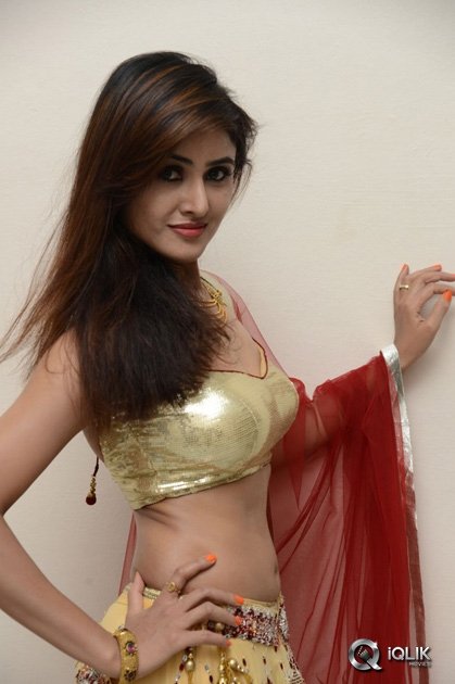 Sony-Charishta-at-Seenugadi-Love-Story-Movie-Audio-Launch